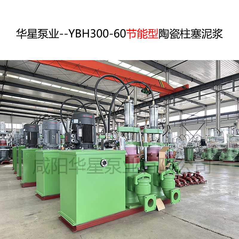 YBH300-60