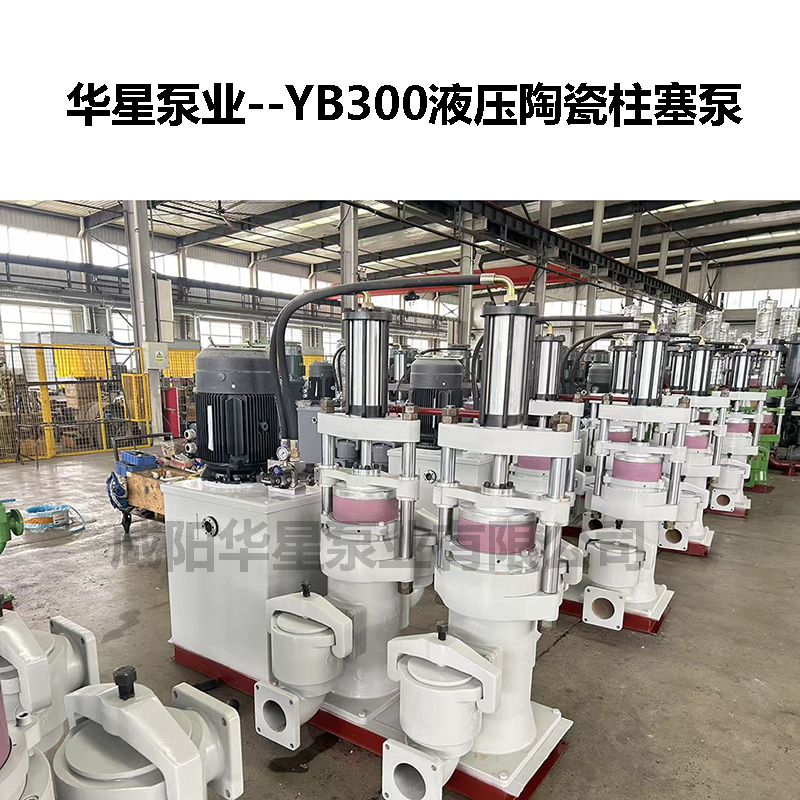 YB300液压陶瓷柱塞泵-20